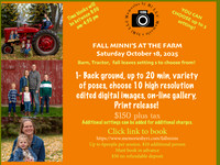 Fall Minis